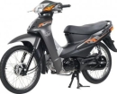XE SỐ 50CC
